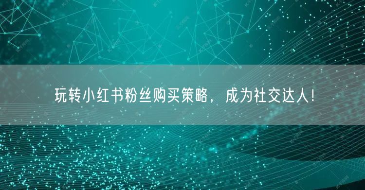 玩转小红书粉丝购买策略，成为社交达人！
