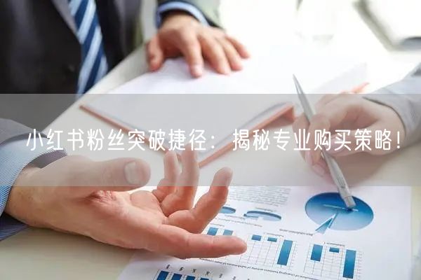 小红书粉丝突破捷径：揭秘专业购买策略！