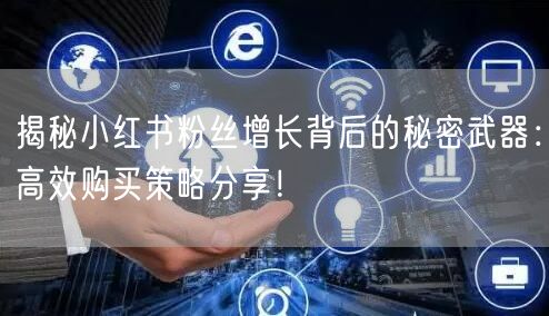揭秘小红书粉丝增长背后的秘密武器：高效购买策略分享！