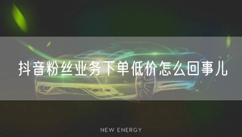 抖音粉丝业务下单低价怎么回事儿