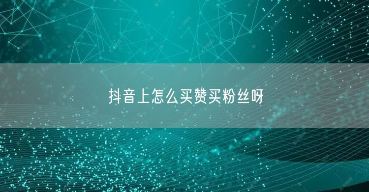 抖音上怎么买赞买粉丝呀