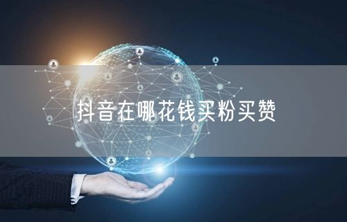 抖音在哪花钱买粉买赞