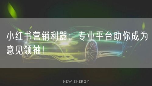 小红书营销利器：专业平台助你成为意见领袖！