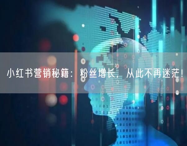 小红书营销秘籍：粉丝增长，从此不再迷茫！