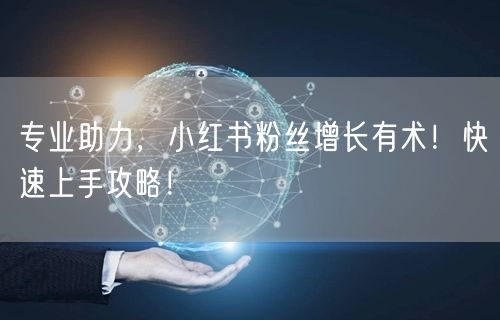 专业助力，小红书粉丝增长有术！快速上手攻略！