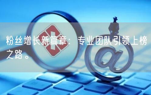 粉丝增长新篇章：专业团队引领上榜之路。