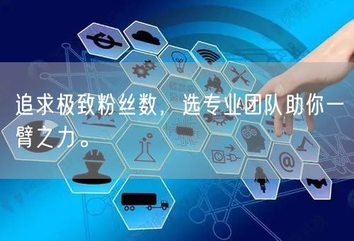 追求极致粉丝数，选专业团队助你一臂之力。
