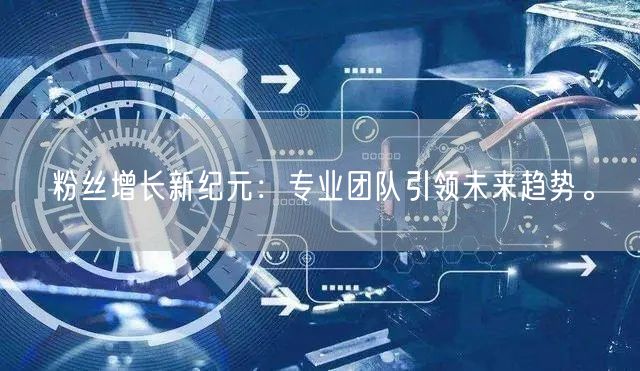 粉丝增长新纪元：专业团队引领未来趋势。