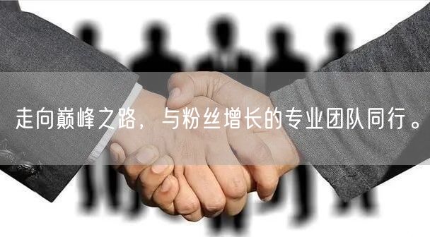 走向巅峰之路，与粉丝增长的专业团队同行。