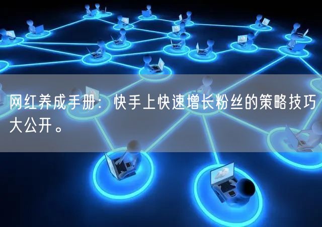 网红养成手册：快手上快速增长粉丝的策略技巧大公开。