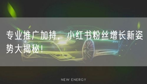 专业推广加持，小红书粉丝增长新姿势大揭秘！