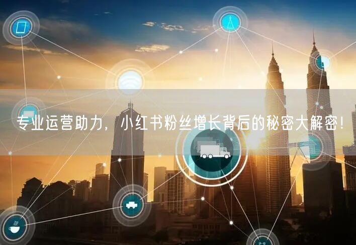 专业运营助力，小红书粉丝增长背后的秘密大解密！