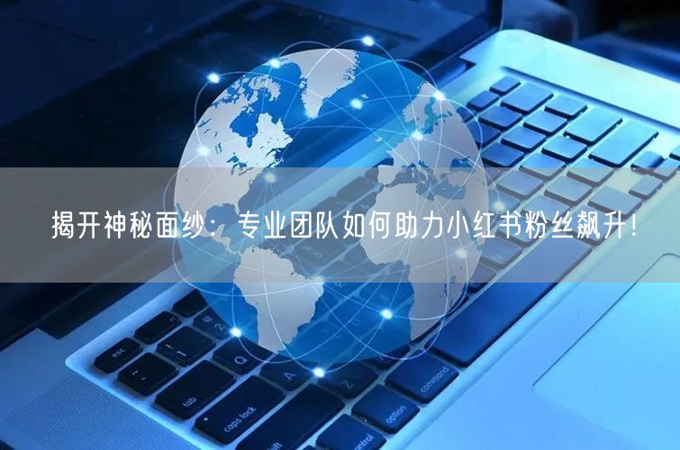 揭开神秘面纱：专业团队如何助力小红书粉丝飙升！