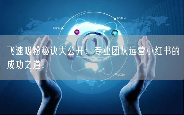 飞速吸粉秘诀大公开：专业团队运营小红书的成功之道！