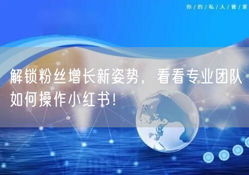 解锁粉丝增长新姿势，看看专业团队如何操作小红书！