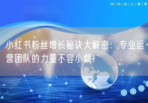 小红书粉丝增长秘诀大解密：专业运营团队的力量不容小觑！