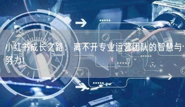 小红书成长之路：离不开专业运营团队的智慧与努力！