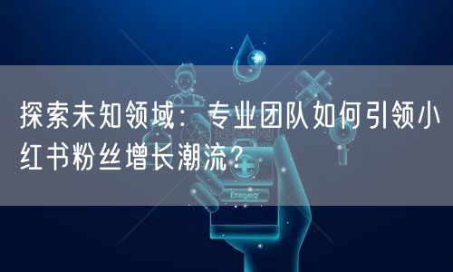 探索未知领域：专业团队如何引领小红书粉丝增长潮流？