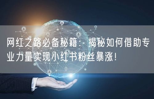 网红之路必备秘籍：揭秘如何借助专业力量实现小红书粉丝暴涨！