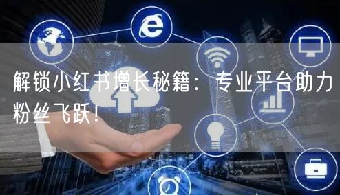 解锁小红书增长秘籍：专业平台助力粉丝飞跃！