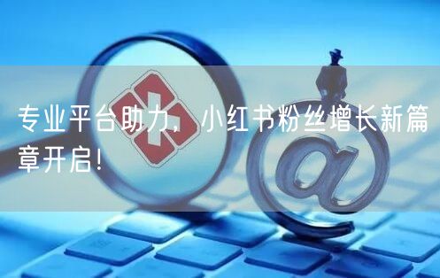 专业平台助力，小红书粉丝增长新篇章开启！