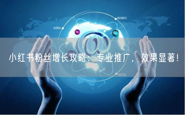 小红书粉丝增长攻略：专业推广，效果显著！
