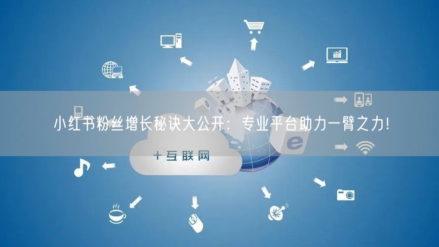 小红书粉丝增长秘诀大公开：专业平台助力一臂之力！