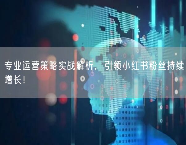 专业运营策略实战解析，引领小红书粉丝持续增长！
