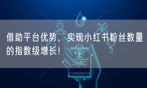 借助平台优势，实现小红书粉丝数量的指数级增长！