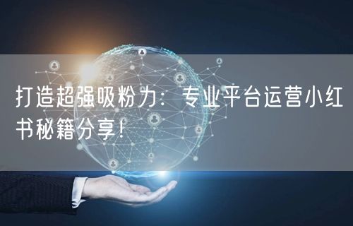 打造超强吸粉力：专业平台运营小红书秘籍分享！
