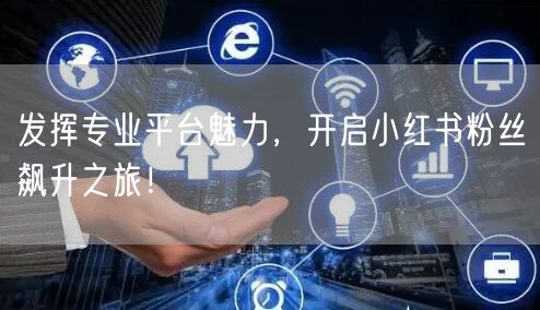 发挥专业平台魅力，开启小红书粉丝飙升之旅！
