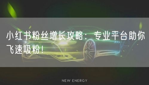小红书粉丝增长攻略：专业平台助你飞速吸粉！