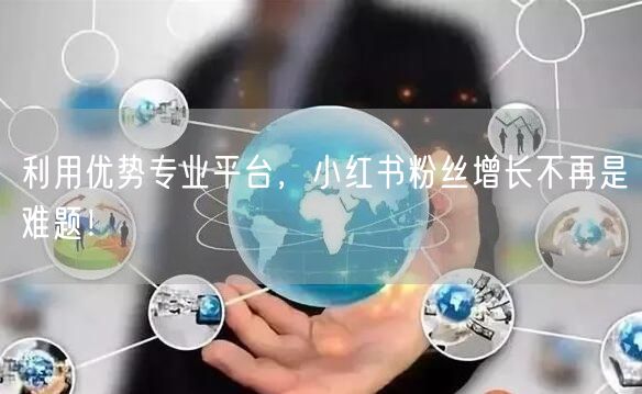 利用优势专业平台，小红书粉丝增长不再是难题！