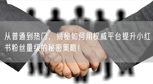 从普通到热门，揭秘如何用权威平台提升小红书粉丝量级的秘密策略！