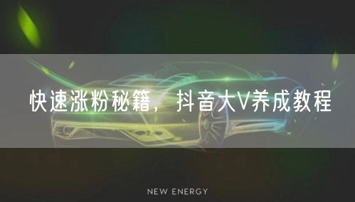 快速涨粉秘籍，抖音大V养成教程