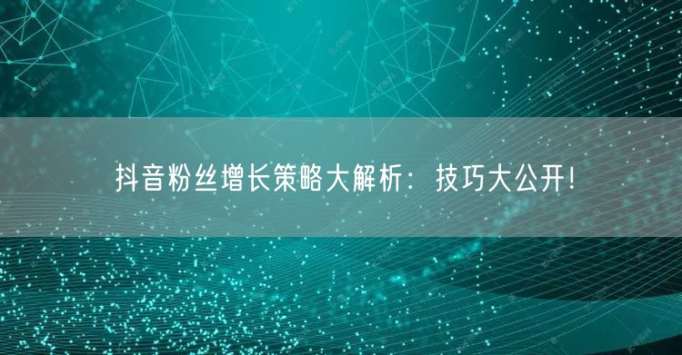 抖音粉丝增长策略大解析：技巧大公开！