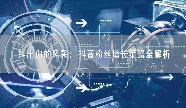 抖出你的风采：抖音粉丝增长策略全解析
