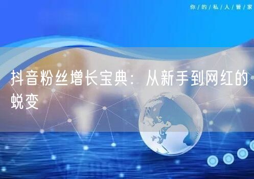 抖音粉丝增长宝典：从新手到网红的蜕变