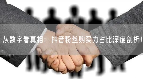 从数字看真相：抖音粉丝购买力占比深度剖析！