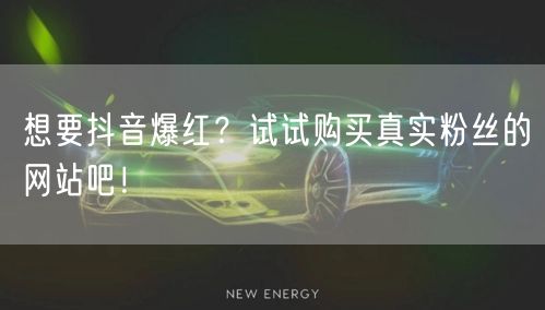 想要抖音爆红？试试购买真实粉丝的网站吧！