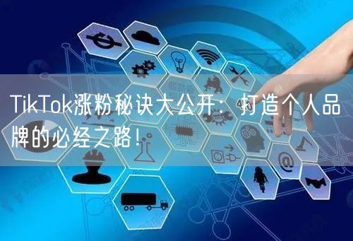TikTok涨粉秘诀大公开：打造个人品牌的必经之路！