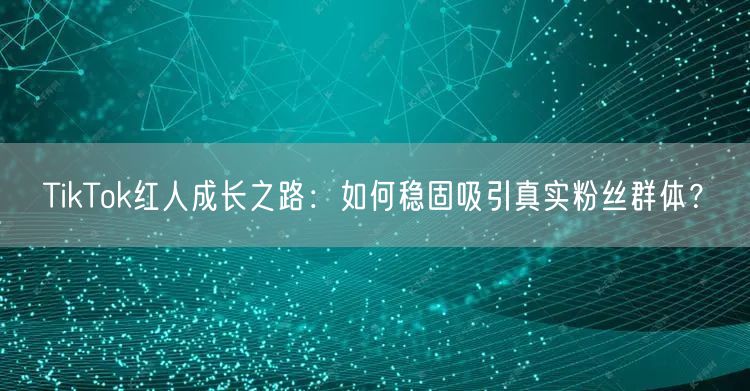 TikTok红人成长之路：如何稳固吸引真实粉丝群体？
