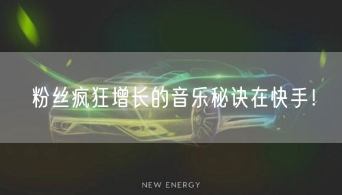 粉丝疯狂增长的音乐秘诀在快手！