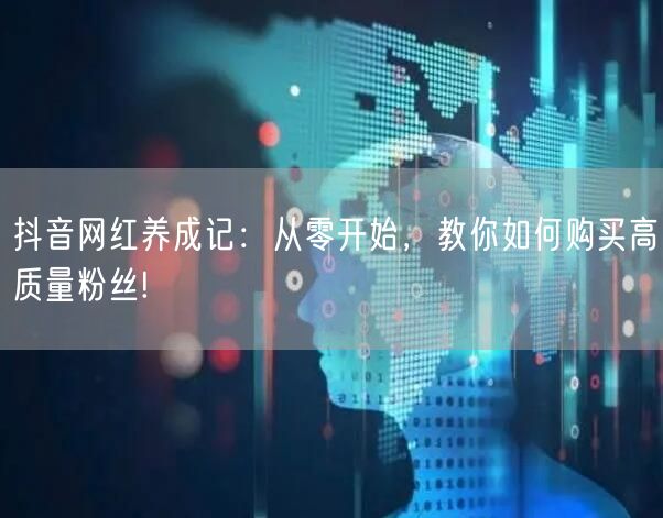抖音网红养成记：从零开始，教你如何购买高质量粉丝!
