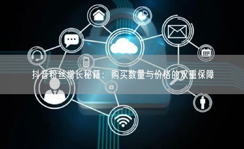 抖音粉丝增长秘籍：购买数量与价格的双重保障