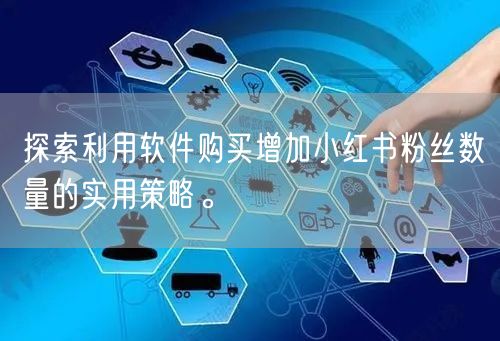 探索利用软件购买增加小红书粉丝数量的实用策略。
