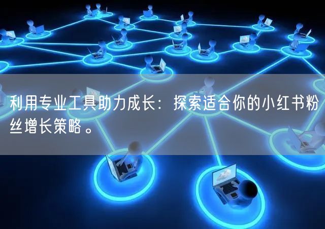 利用专业工具助力成长：探索适合你的小红书粉丝增长策略。
