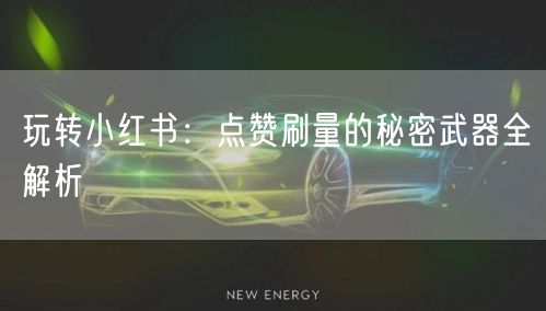 玩转小红书：点赞刷量的秘密武器全解析