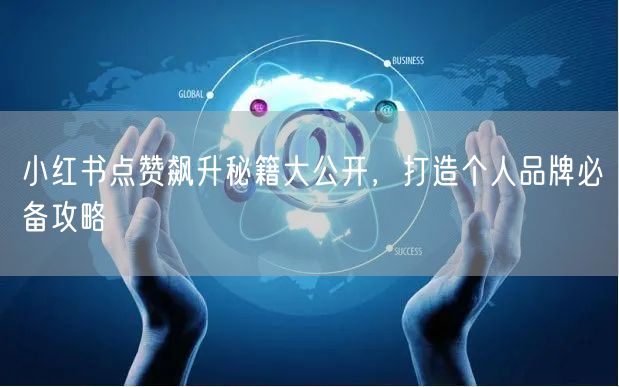 小红书点赞飙升秘籍大公开，打造个人品牌必备攻略