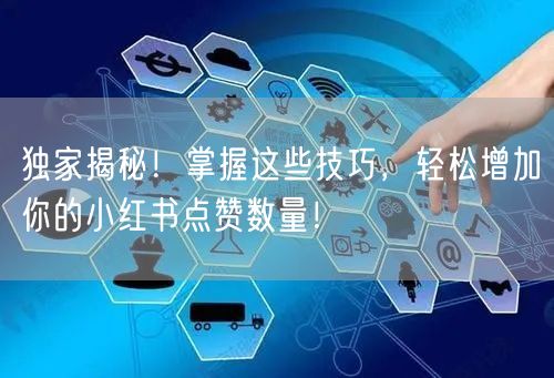 独家揭秘！掌握这些技巧，轻松增加你的小红书点赞数量！